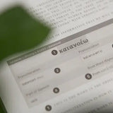 Behold Bible Study Journal