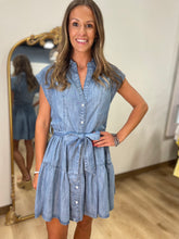 Farm Day Denim Dress
