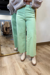 Shape Shifter Jean Sage