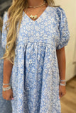 Blue Daisy Day Dress