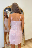 Simple Elegance Sequin Dress Pink