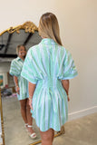 RD Style Lorine Mini Shirt Dress Green