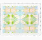 Laura Park Large Scalloped Trey Elephant Falls