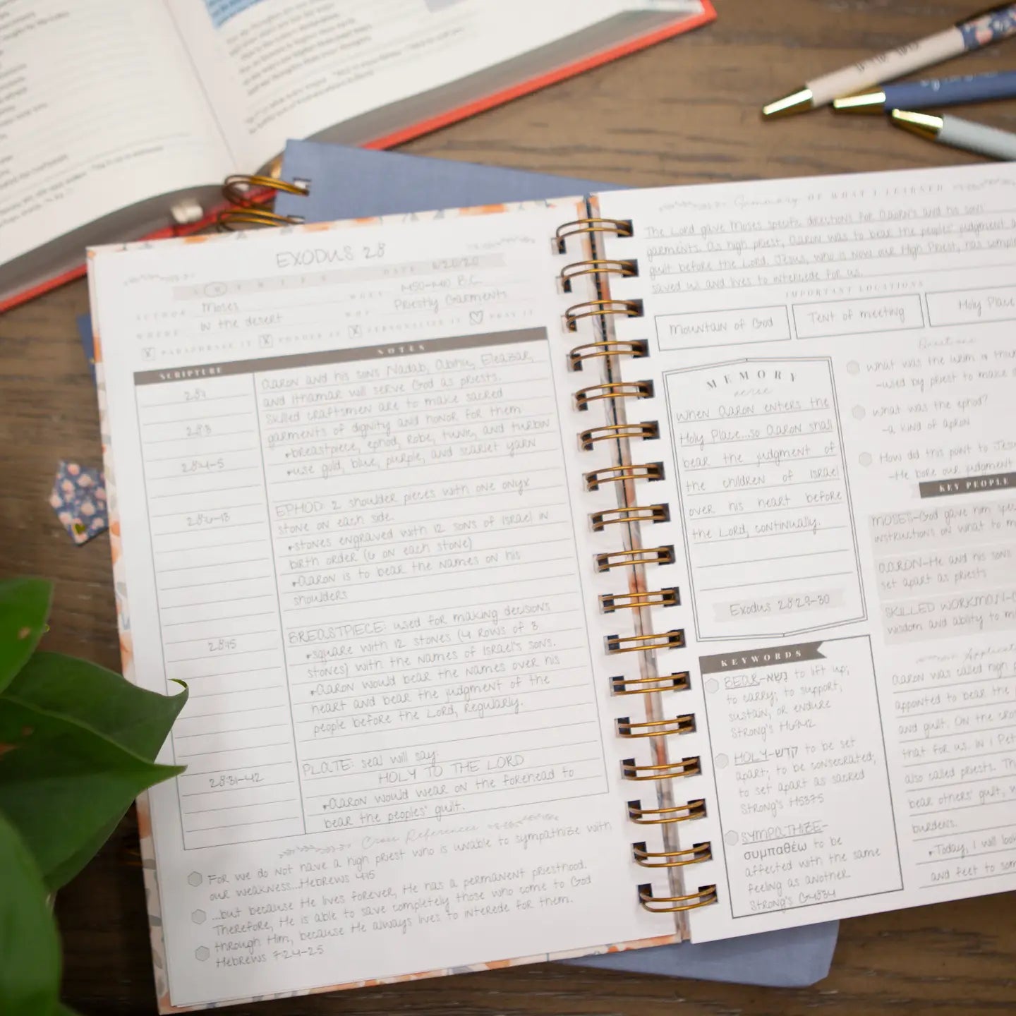 Bible Study Journal Verse Mapping Journal Green