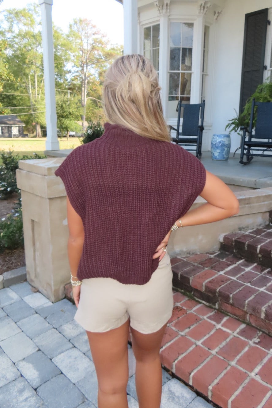 Sippin' Cider Mock Neck Sweater Vest Brown