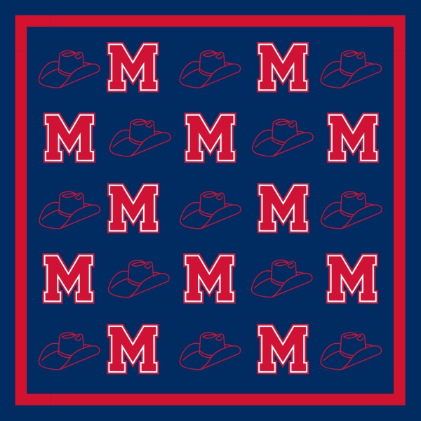 Ole Miss Gameday Scarf