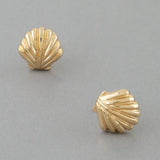Classic Seashell Stud Earrings