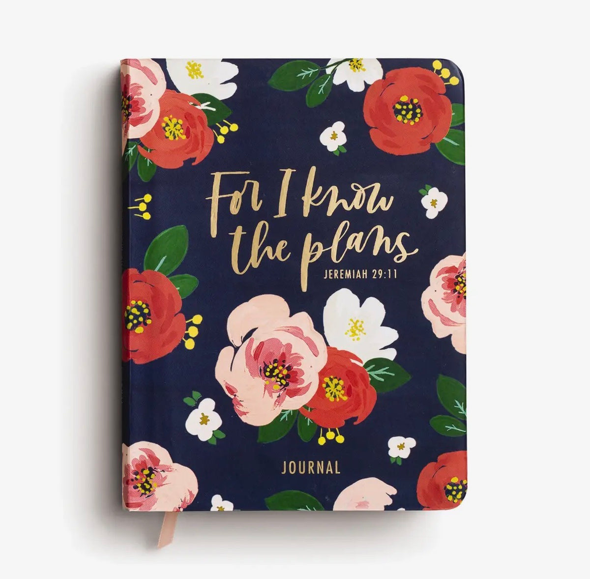 For I Know the Plans Journal