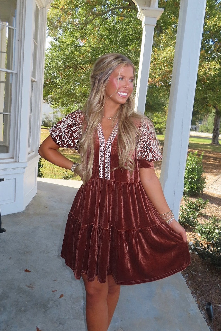 Cinnamon Toast Embroidered Sleeve Dress