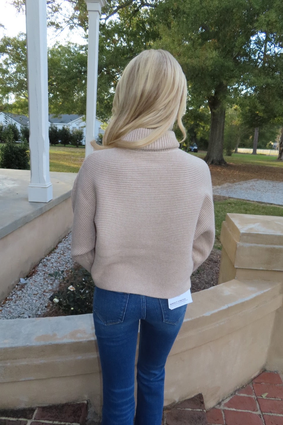 Anya Turtle Neck Dolman Sleeve Sweater Taupe