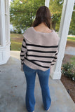 Harvest Hues Striped Collared Sweater Khaki