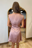 Delicately Draped Dress Rose