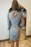 Bronzy Blues Embroidered Dress