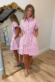 Wine and Roses Striped Dress