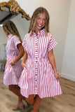 Wine and Roses Striped Dress