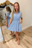 Country Blue Gingham Dress