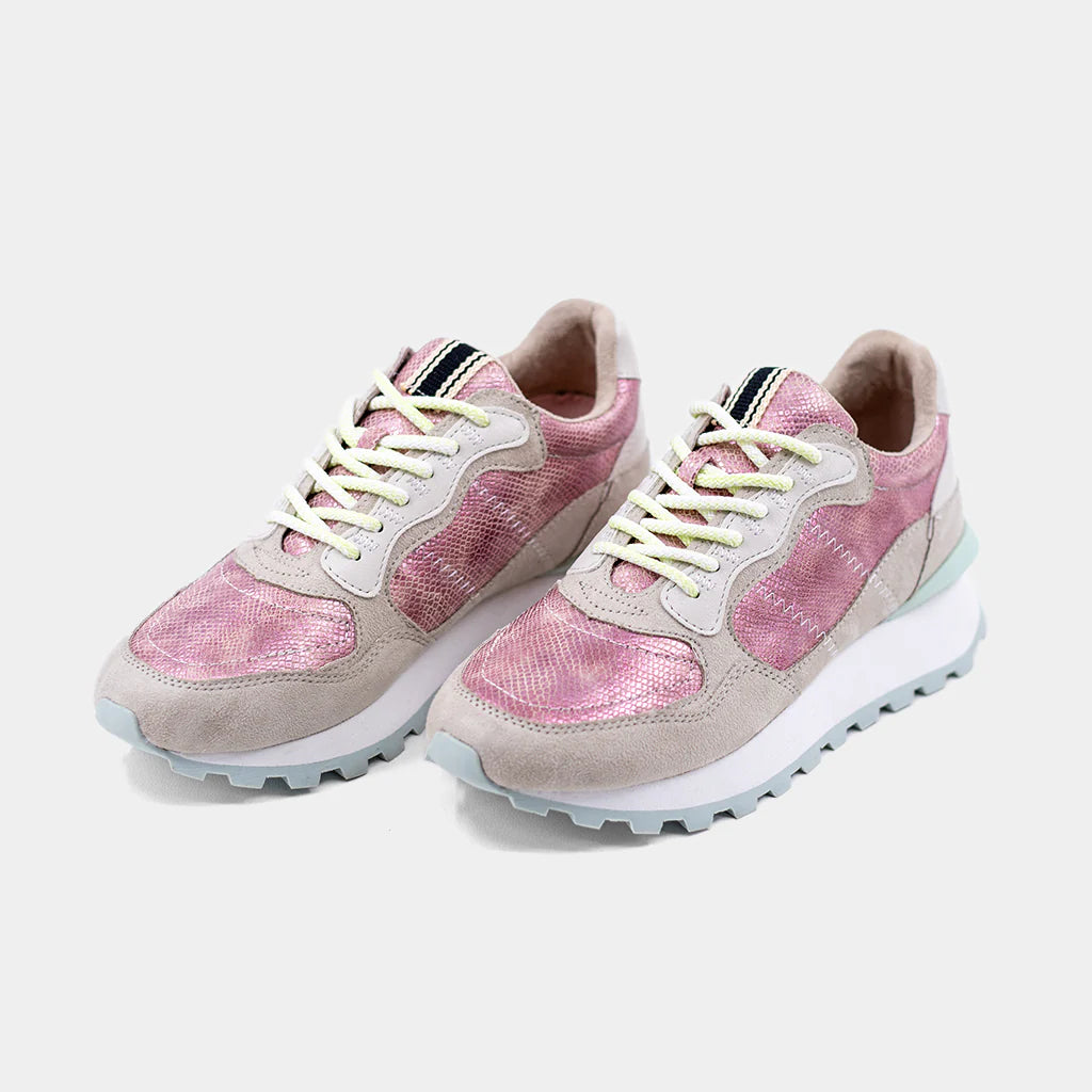 Shushop Phoebe Pink Snake Sneaker