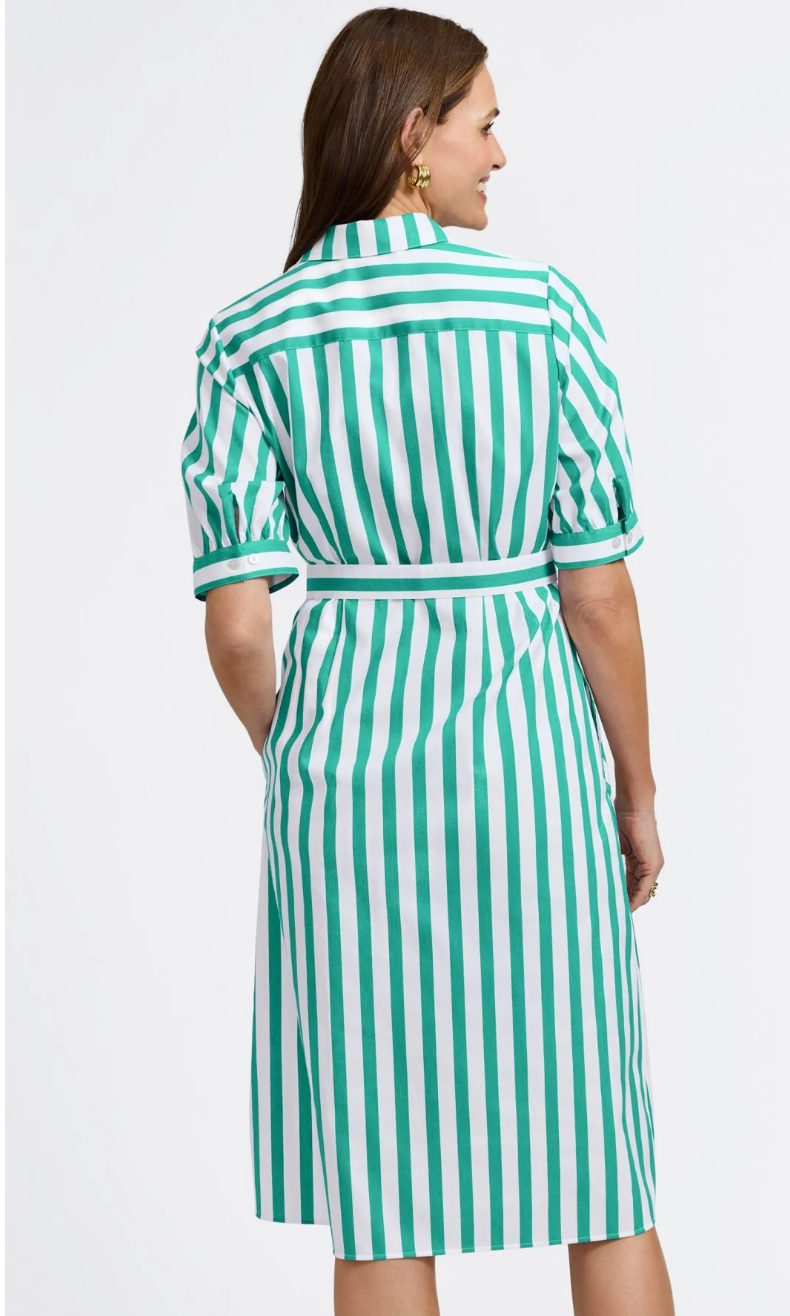 Foxcroft Esther Springtime Stripe Elbow Sleeve Dress