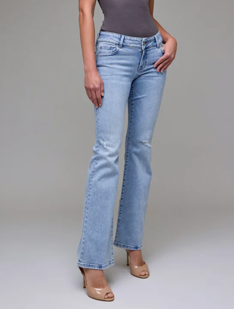 Hidden Ryan Low Rise Bootcut Jean Light