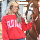 Lulu Mac Red Sweatshirt LULU MAC Pink Gingham